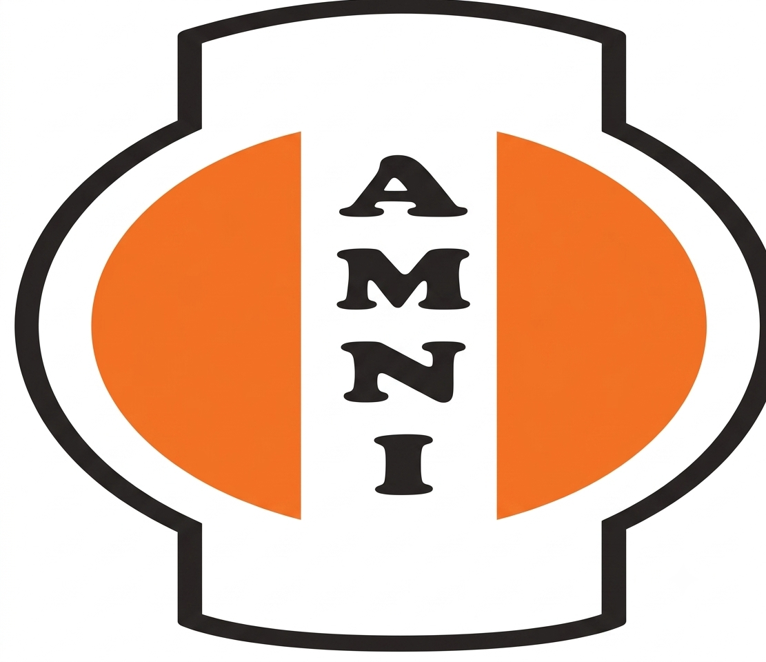Amni International logo